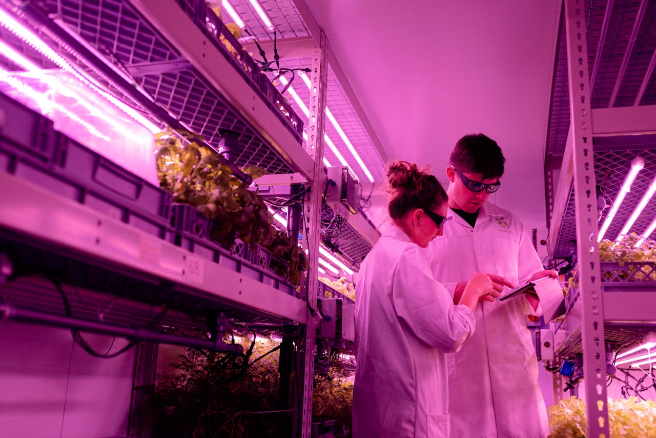 Scientists in lab coats monitor indoor farming under ultraviolet light.